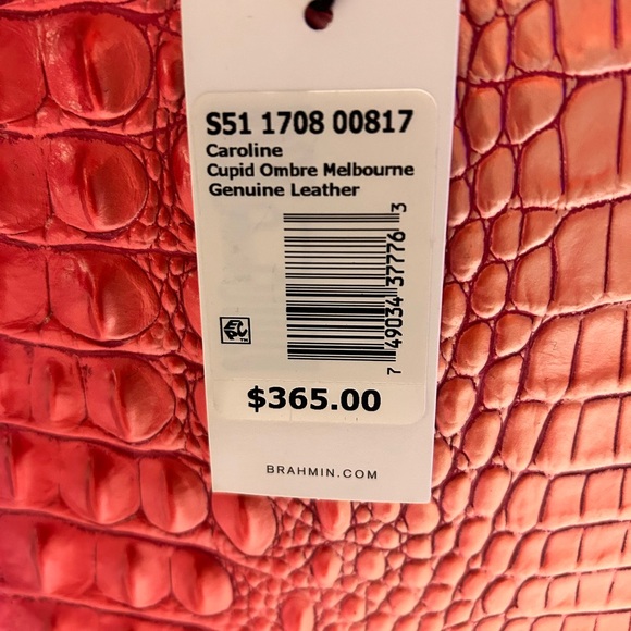 Brahmin NWT ombré purse/shoulder and crossbody bag - Picture 4 of 14